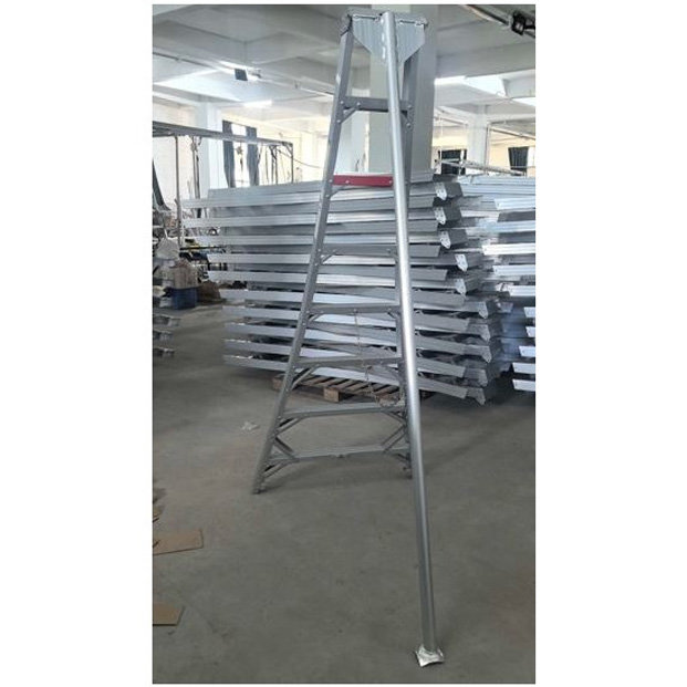Escalera Cosechadora de 2.4 mts 8 peldaños - Imagen 3